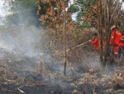 Masyarakat Sampit Diimbau Gunakan Masker untuk Cegah ISPA Akibat Asap Kebakaran Hutan