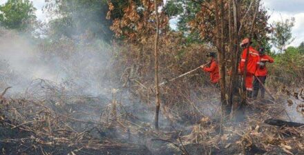 Masyarakat Sampit Diimbau Gunakan Masker untuk Cegah ISPA Akibat Asap Kebakaran Hutan