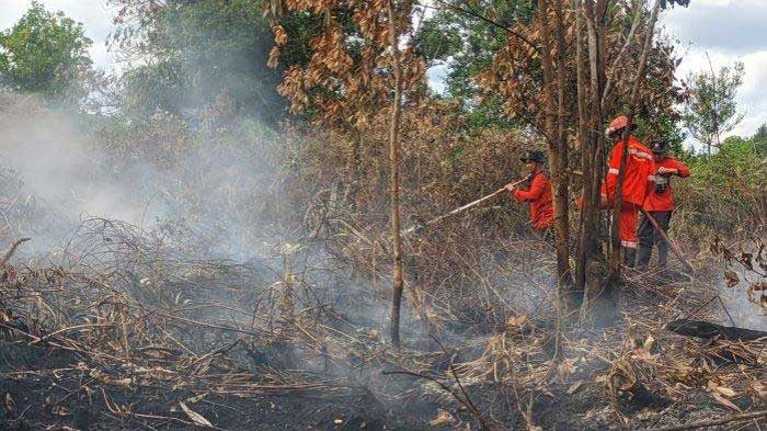 Petugas pemadam kebakaran berjibaku memadamkan api atas kebakaran lahan di Sampit, Kotawaringin Timur.