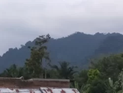 Kabut Asap Kembali Menyelimuti Kota Padang dan Sekitarnya