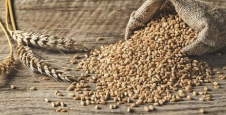 Harga Beras Terus Meningkat Meskipun Indeks Harga Pangan Dunia Turun