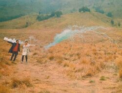 Penurunan Omzet Pedagang di Taman Nasional Bromo Tengger Semeru Akibat Karhutla