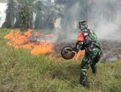 Satgas Karhutla Provinsi Jambi Tangkap 5 Tersangka Pembakaran Lahan