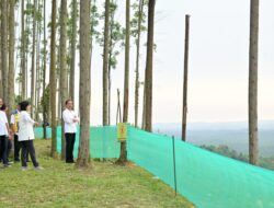 Presiden Jokowi Nikmati Pagi di Ibu Kota Nusantara