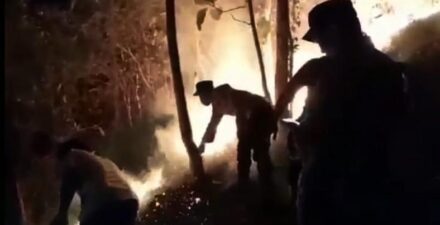 Kebakaran Melanda Lahan Hutan di Gunung Pager Ijo, Kebumen