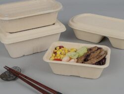Styrofoam Sebabkan Kanker, Ini Penggantinya yang Ramah Lingkungan