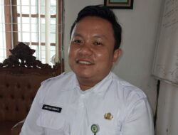 Fenomena El Nino Tidak Berdampak, Produksi Beras di Pasaman Malah Meningkat