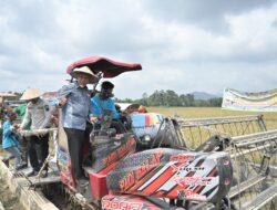 Gubernur Mahyeldi Tengah Menyiapkan Langkah Strategis untuk Tingkatkan Produktivitas Padi di Sumbar.