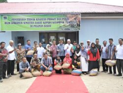 Gubernur Mahyeldi Serahkan Bantuan Hewan Ternak Kepada Kelompok Tani Ternak di Pasaman Barat.