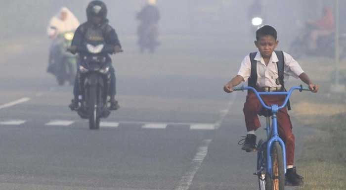 Murid SD Kotim menggunakan sepeda ke sekolah, di tengah kabut asap menyelimuti daerah tersebut. (dok cnnindonesia)