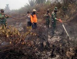 Krisis Karhutla di Kotawaringin Timur, BPBD Catat 156 Kejadian