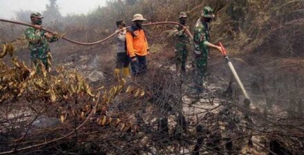 Petugas pemadam kebakaran berjibaku memadamkan api yang membakar hutan.