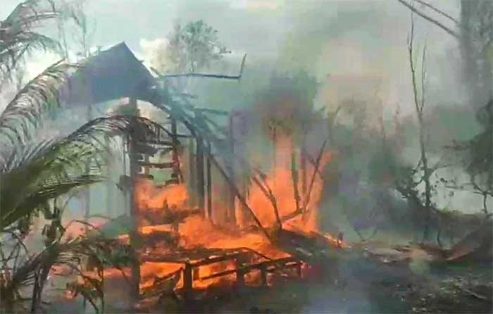 Api berkobar saat membakar hutan dan lahan di Kotim.