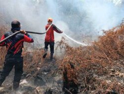 Kotim Kaji Ulang Strategi Penanggulangan Karhutla, Ini Alasannya
