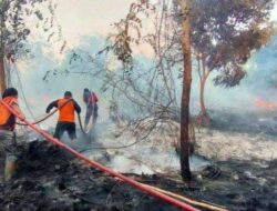 Makin Parah, Kotawaringin Timur Tingkatkan Status Penanggulangan Karhutla Menjadi Tanggap Darurat
