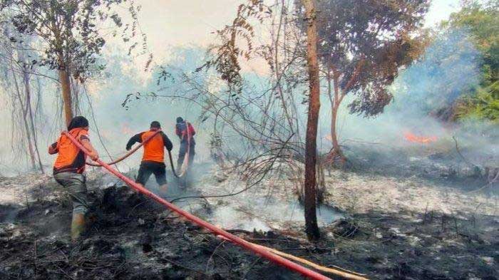 Petugas berjibaju memadamkan api yang membakar lahan gambut di Kotawaringin Timur (Kotim), Kalteng.