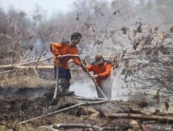 BPBD Kotawaringin Timur Menggunakan Racun Api dalam Upaya Pemadaman Karhutla