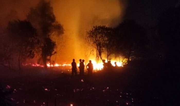 Kobaran api saat membakar lahan gambut di Kotawaringin Timur (Kotim).