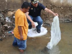 Wali Kota Pariaman Genius Umar Sebar 24 Ribu Bibit Ikan Mas