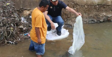 Wali Kota Pariaman Genius Umar Sebar 24 Ribu Bibit Ikan Mas