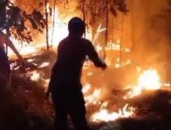 Hutan Karet Seluas 2 Hektare di Majalengka Terbakar Hebat