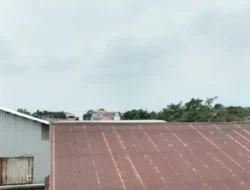 Kabut Asap Turunkan Kualitas Udara di Kota Padang, Masyarakat Diimbau Menggunakan Masker