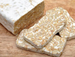 Makanan Murah dengan Kandungan Protein Tinggi untuk Program Diet