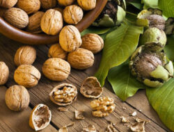 6 Jenis Kacang-Kacangan Terbaik untuk Menurunkan Berat Badan