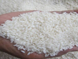 Pemerintah Lanjutkan Program Bansos Beras hingga Desember 2023