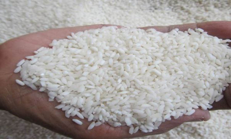 Bansos beras cair.
