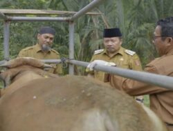 Gebyar Peternakan 2023 di Agam, Sumatera Barat: Optimalisasi Vaksinasi PMK dan Perlindungan Ternak