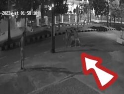 Pot Bunga Pemko Padang Dirusak, Pemerintah Setempat Mengintai Pelaku