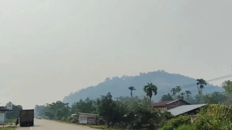 kabut asap