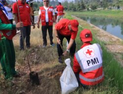 PMI Kota Payakumbuh Lakukan Penanaman Pohon Pelindung Di Sepanjang Batang Agam
