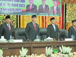 Momen HJK ke-78, Gubernur Sebut Pasaman Berpotensi Salah Satu Pusat Pertumbuhan Ekonomi Sumbar