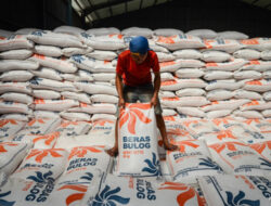 Menteri Pertanian Pastikan Impor 1,5 Juta Ton Beras Tidak Ganggu Produksi Petani