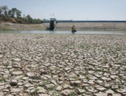 BMKG Proyeksikan Kenaikan Suhu Udara 1,3 Derajat Celsius Akibat Perubahan Iklim