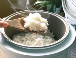 Pemerintah Dikritik Terkait Rencana Pembagian Rice Cooker Berbasis Listrik sebagai Pengganti LPG 3 kg