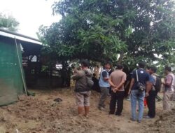 Misteri Kematian Enam Sapi di Indramayu: Dugaan Keracunan dan Kejadian Mengejutkan Pemilik