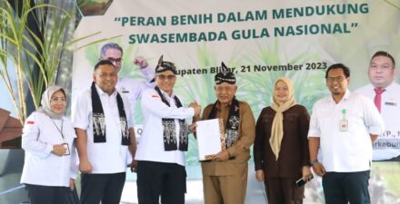 Kementerian Pertanian Gencar Penuhi Kebutuhan Benih Tebu untuk Swasembada Gula Nasional