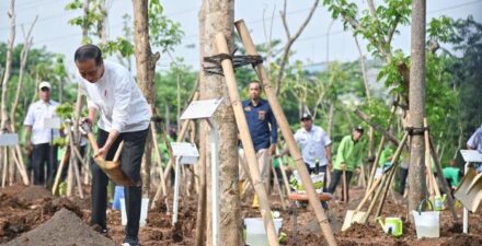 Presiden Jokowi Tanam Pohon di Pulogadung, Perlawanan Terhadap Polusi Udara di Jabodetabek