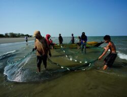 Potensi Perikanan Laut Indonesia: Kekayaan yang Sangat Mengesankan