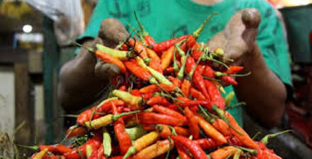 Harga pangan alami kenaikan