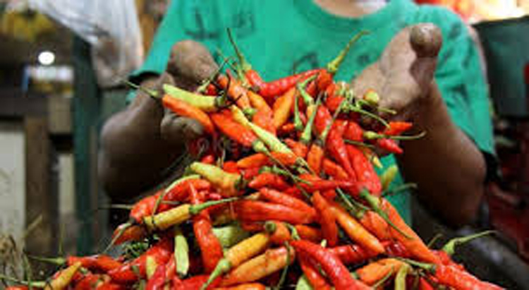Harga pangan alami kenaikan