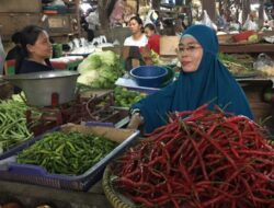 Harga Cabai dan Gula Terus Meningkat Akibat Kemarau Panjang