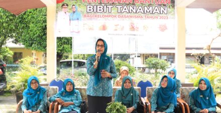 Ny Lasta Jasman Serahkan Bantuan Bibit Tanaman Kepada Kelompok Dasa Wisma Payakumbuh