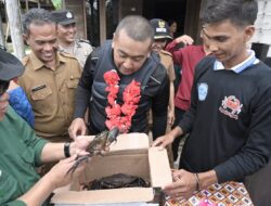 Bertolak Dari Tuapejat dengan Jetski, Wagub Audy dan Apindo Sumbar Serahkan Bantuan untuk OMB Budidaya Kepiting Sipaalei Ojuk di Siberut