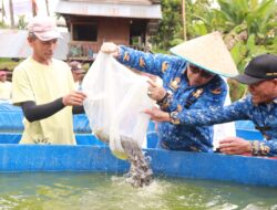Pj Wako Jasman Lepaskan 20 Ribu Bibit Ikan Lele