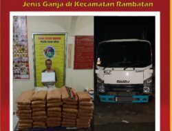 Polres Tanah Datar Berhasil Gagalkan Pengiriman Ganja Seberat 45 Kilogram ke Pulau Jawa.