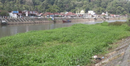 Kondisi Batang Arau saat ini, semdimennya makin meninggi.